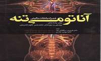  آناتومی تنه 