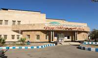  190 بیمار پاکستانی در بیمارستان دارالشفاء میرجاوه درمان شدند 