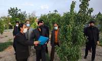 گزارش تصویری بازدید استاندار سیستان و بلوچستان از بوستان خوابگاهی ریحانه النبی(س)،مرکز رشد فناوری و خوابگاه پسرانه شهید مسلم کیخا دانشگاه علوم پزشکی زاهدان