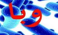 لزوم پیشگیری از بیماری التور با توجه به شروع فصل گرما
