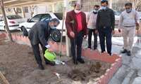 کاشت ۴۰ اصله نهال به مناسبت هفته منابع طبیعی و روزدرختکاری در مرکز جامع توانبخشی شهید رزمجو مقدم