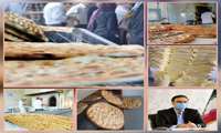 پایش اثربخشی طرح  غنی سازی آرد با آهن و اسید فولیک در سطح عرضه