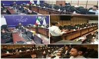 برگزاری کارگاه بازآموزی بیماریهای منتقله توسط پشه آئدس (ناقلین تب دانگ، چیکونگونیاو زیکا)