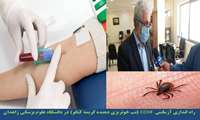راه اندازی آزمایش CCHF (تب خونریزی دهنده کریمه کنگو) در دانشگاه علوم پزشکی زاهدان
